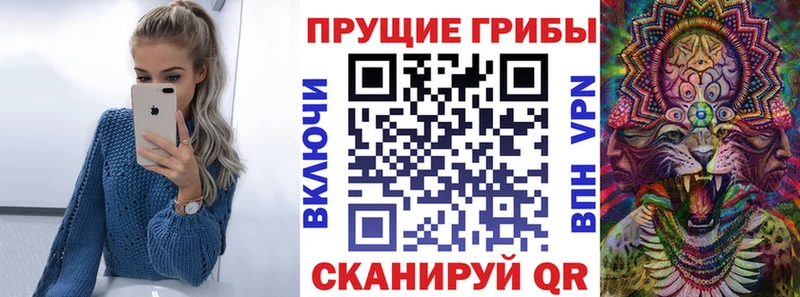 Галлюциногенные грибы GOLDEN TEACHER  наркотики  blacksprut маркетплейс  Чернушка 